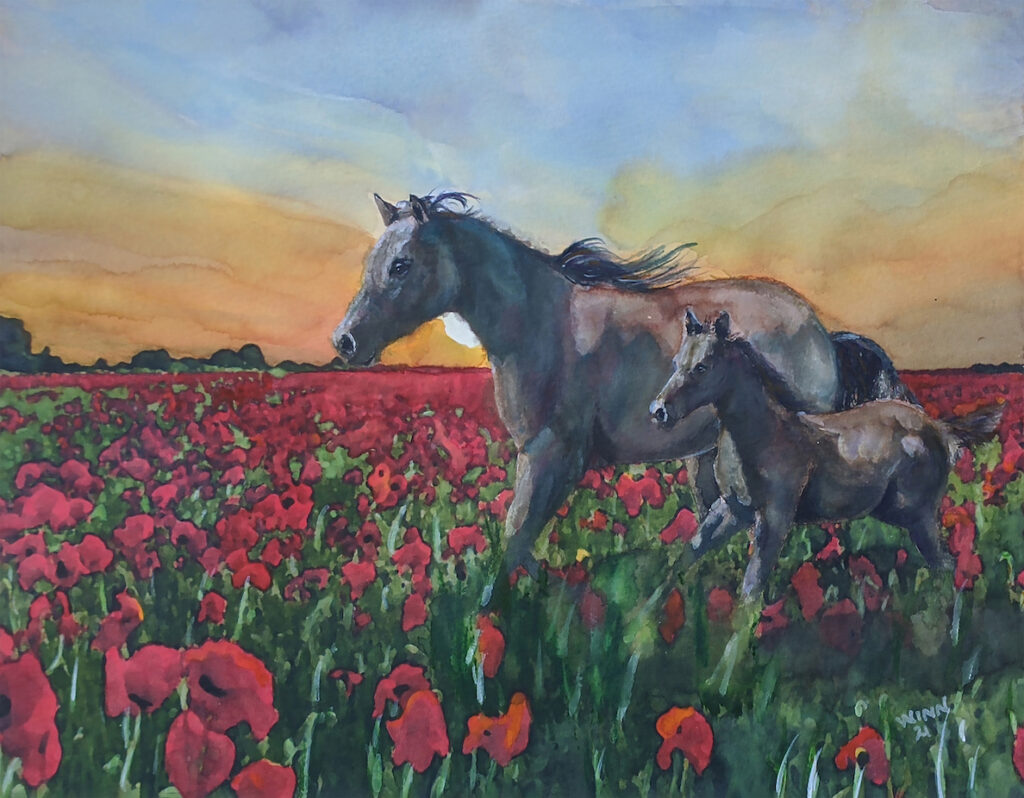 Penny Winn: Hoses in the Poppy Field