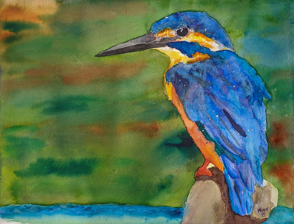 Penny Winn: Kingfisher