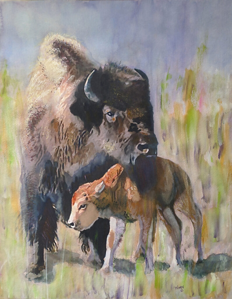 Penny Winn: Mama and Baby Bison