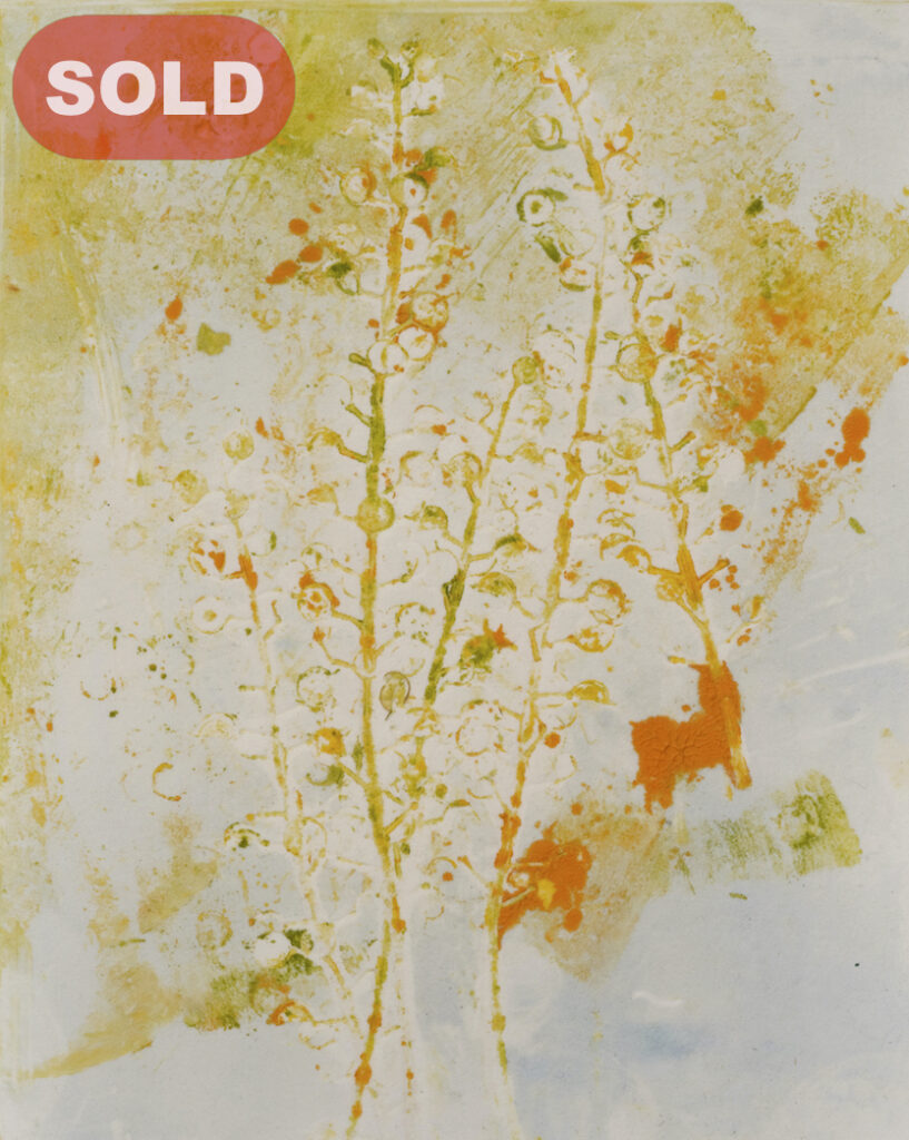 Joani Murphy: Sprang I