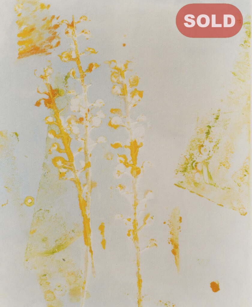 Joani Murphy: Spring I