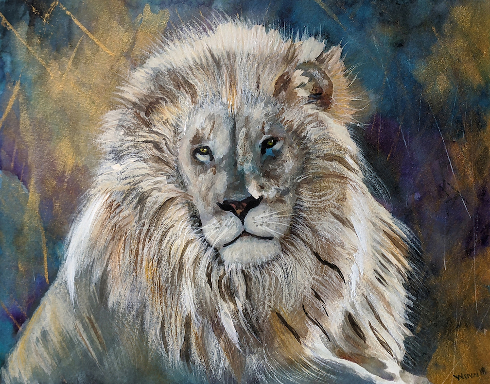 Penny Winn: White Lion Portrait