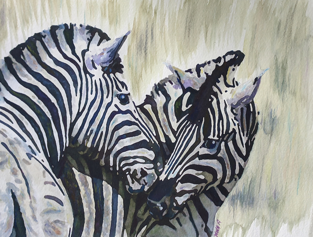 Penny Winn: Zebras