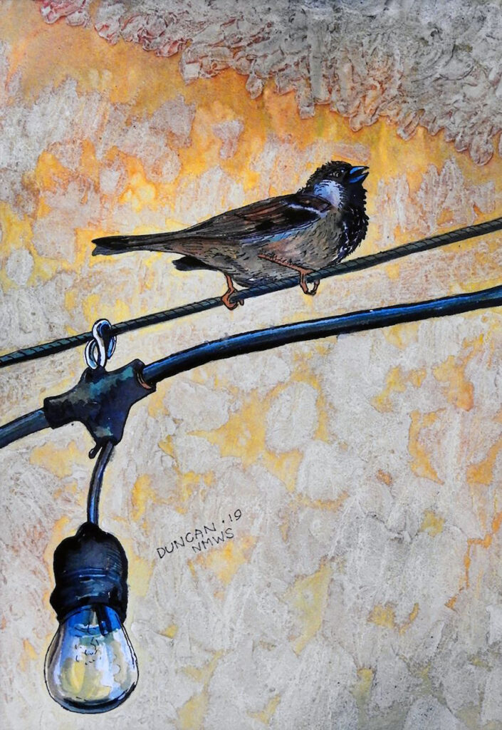 Woody Duncan: Bird On A Wire