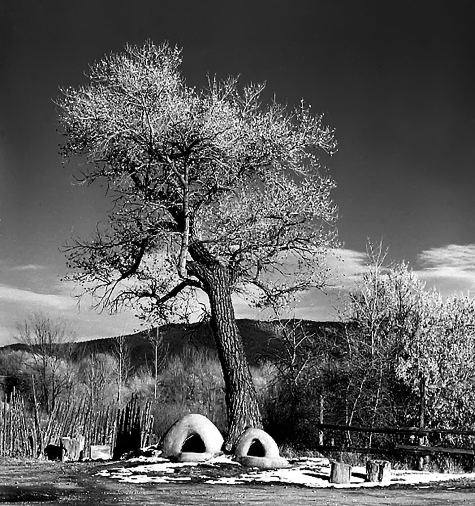 Glenn Hohnstreiter: Cottonwood and Hornos