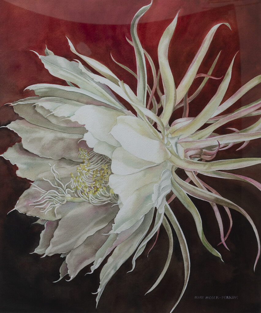 Mary Moser-Perkins: Queen of the Night