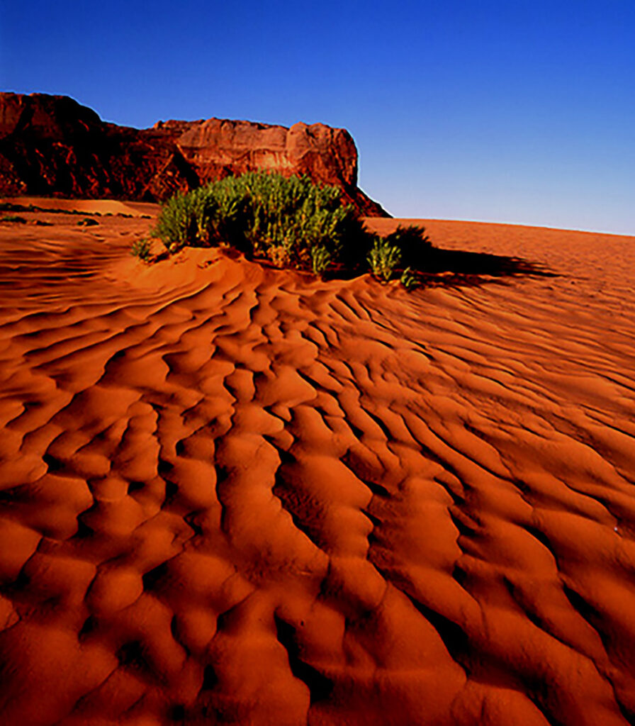 Glenn Hohnstreiter: Sea of Sand