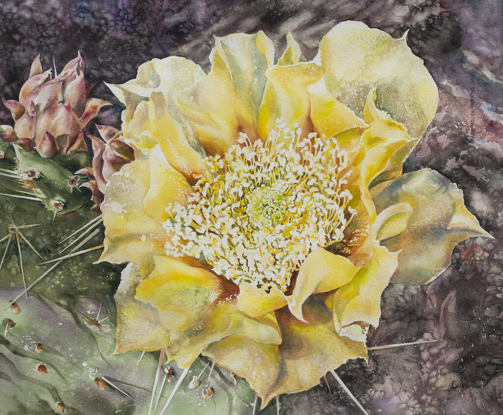 Mary Moser-Perkins: Sunshine