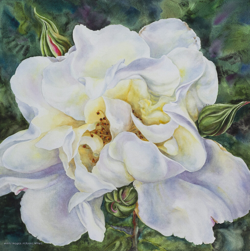 Mary Moser-Perkins: Yellow in the Middle