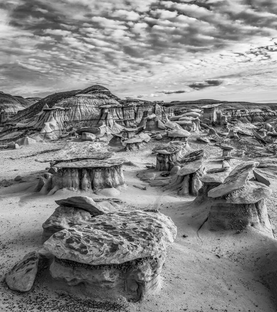 Stan Ford: Alien Land