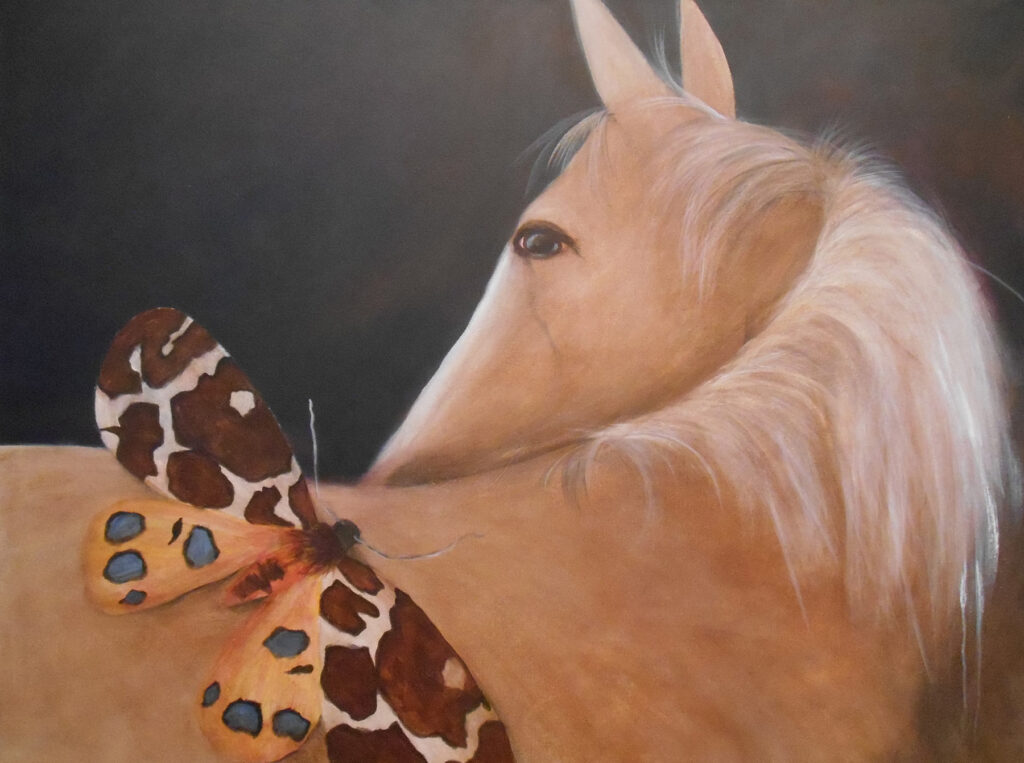 Laura Pope: Curiosity
