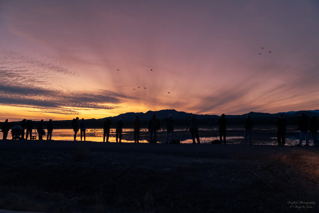 Terry St.Louis: Dusk on the Crane Pond