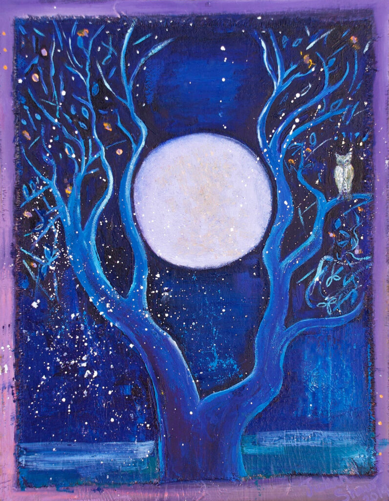 Judith Shaw: Night Magic
