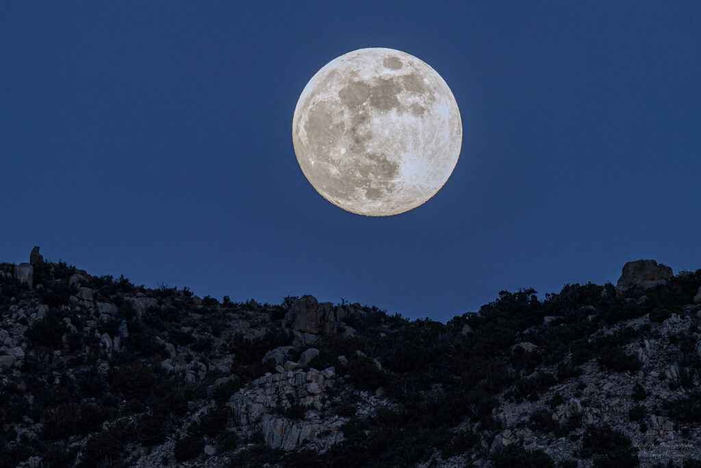 Terry St.Louis: Shepard of the Moon