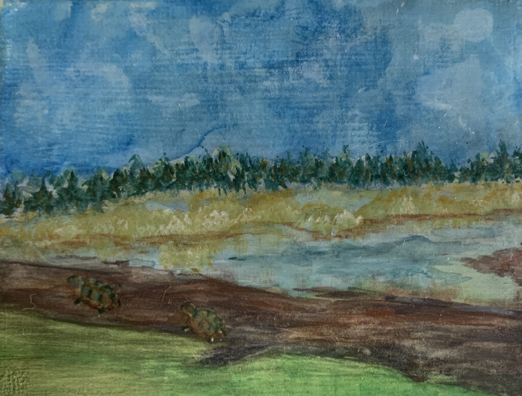 Melissa Lowry Mosley: Slow Walk With Friend