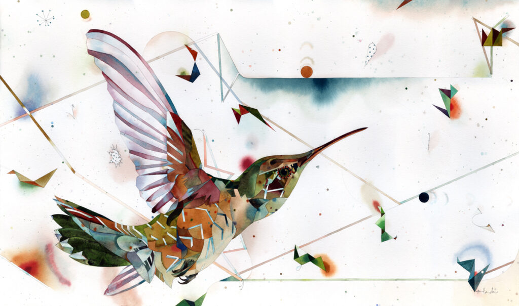 Travis Bruce Black: Unfold