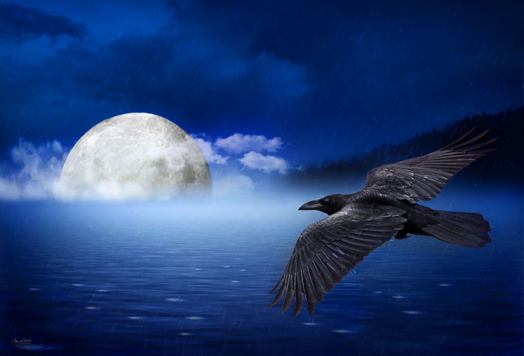 Amy M. Ditto: Midnight Flight