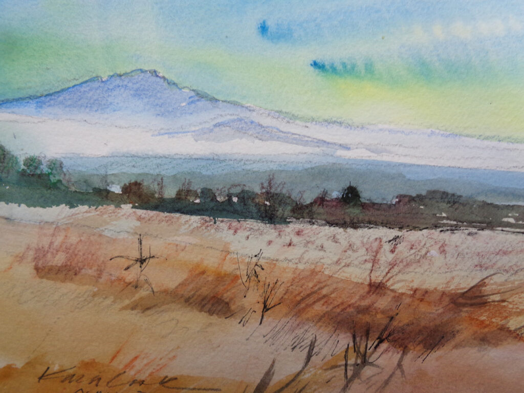 Karin Cook: Mount Taylor