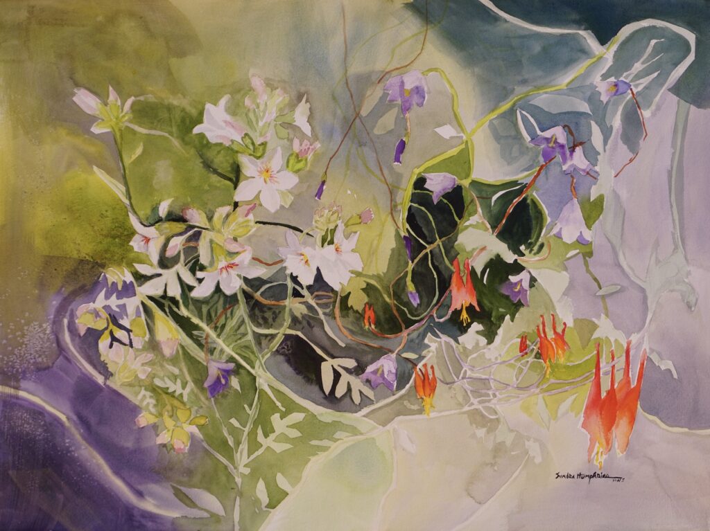 Sandra Humphries: Mountain Wildflowers 12