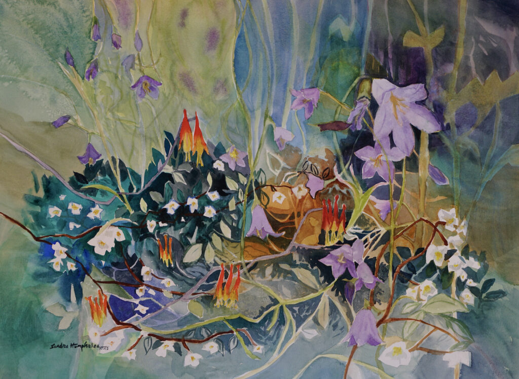 Sandra Humphries: Mountain Wildflowers 13