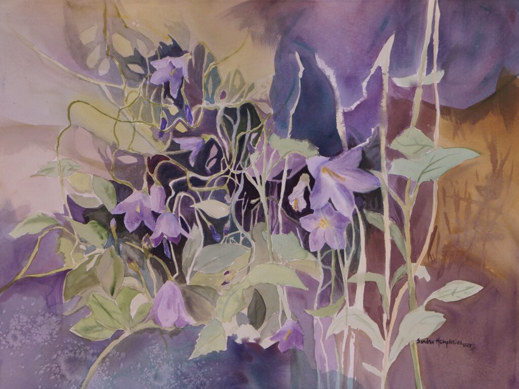 Sandra Humphries: Mountain Wildflowers 3