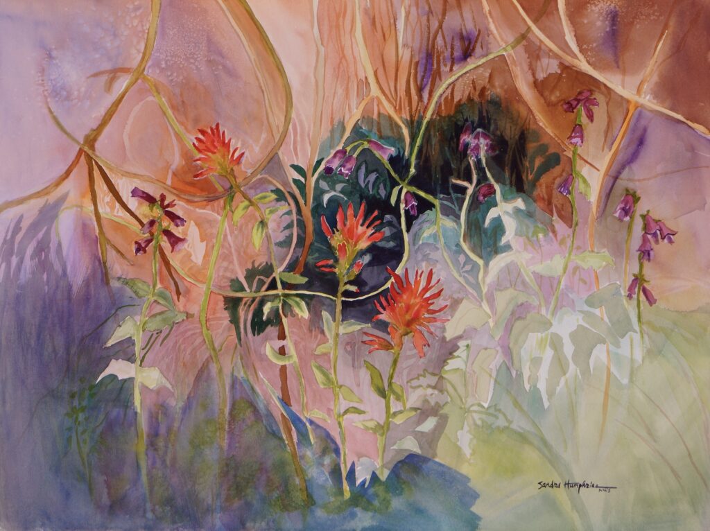 Sandra Humphries: Mountain Wildflowers 4