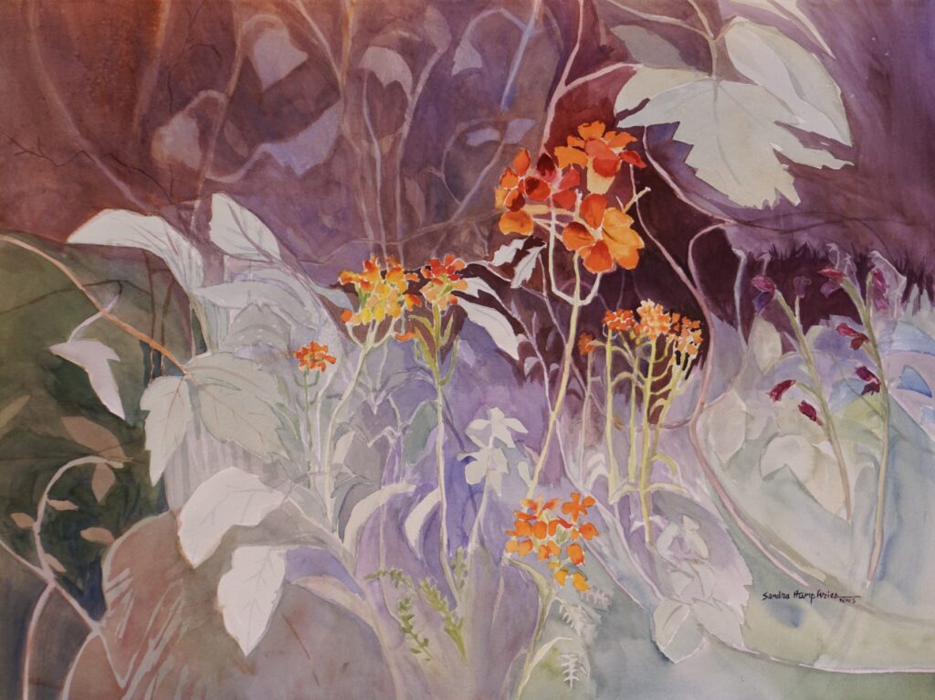 Sandra Humphries: Mountain Wildflowers 6