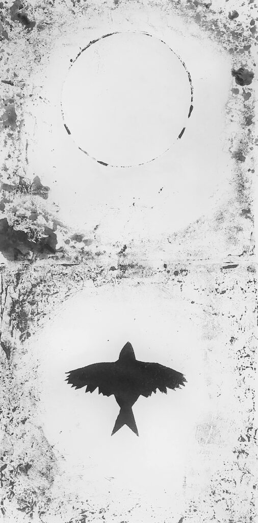 Dan Noyes: One Bird One Stone
