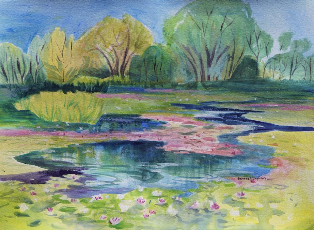 Sandra Humphries: Summer Pond