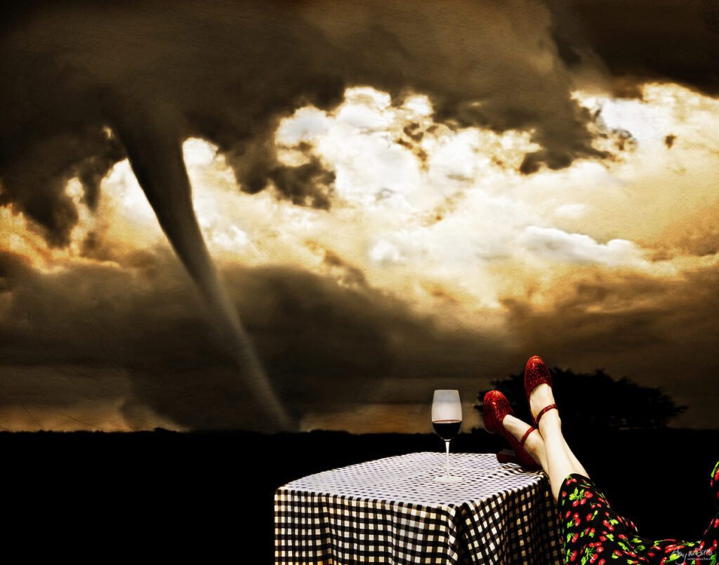 Amy M. Ditto: Meanwhile, Back in Kansas