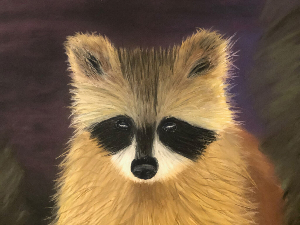 Timothy Blasiman: Bandit