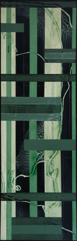 Borono 3 - Acrylic on Panel