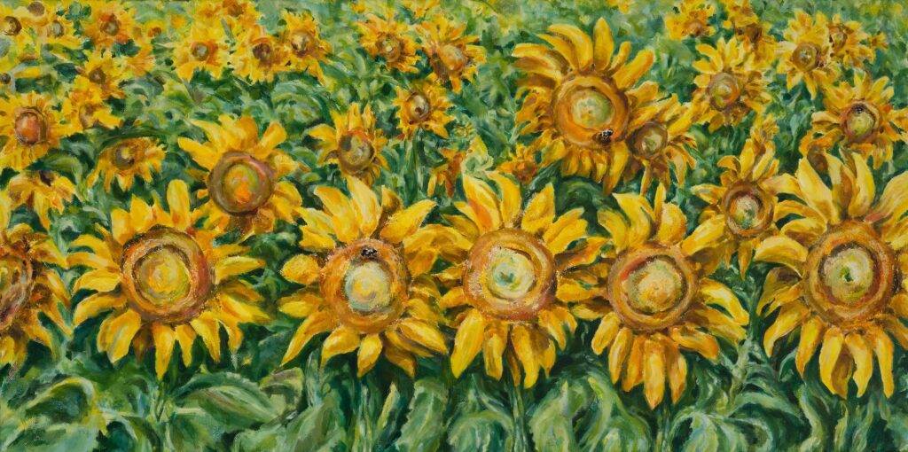 Sandra Kimzey Wimbish: Dix Sunflower Field