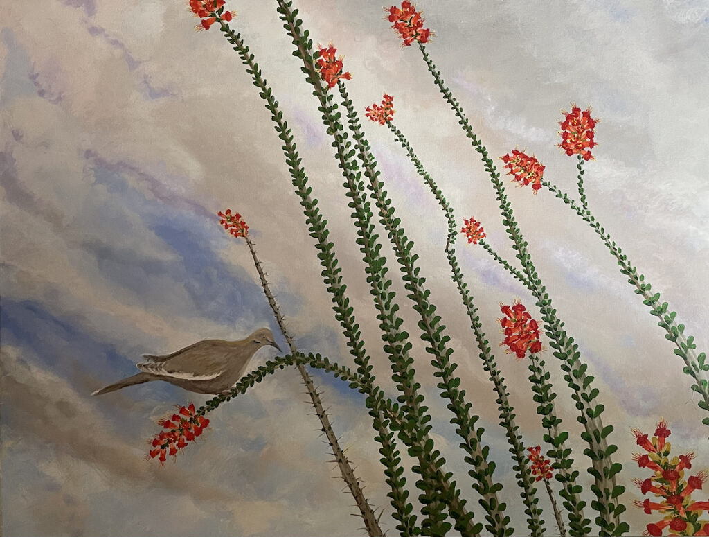 Laurel Worth: Lonely White Winged Dove