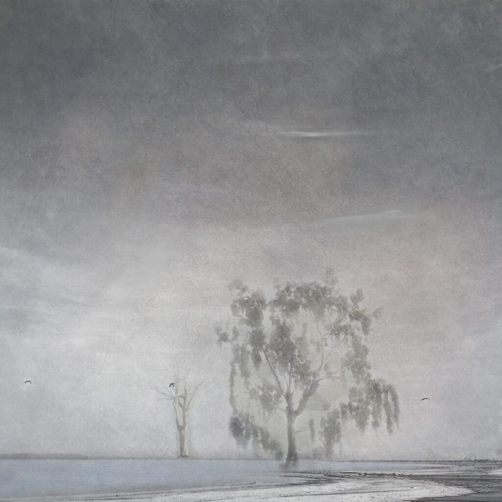 Storm Sermay: Salton Sea