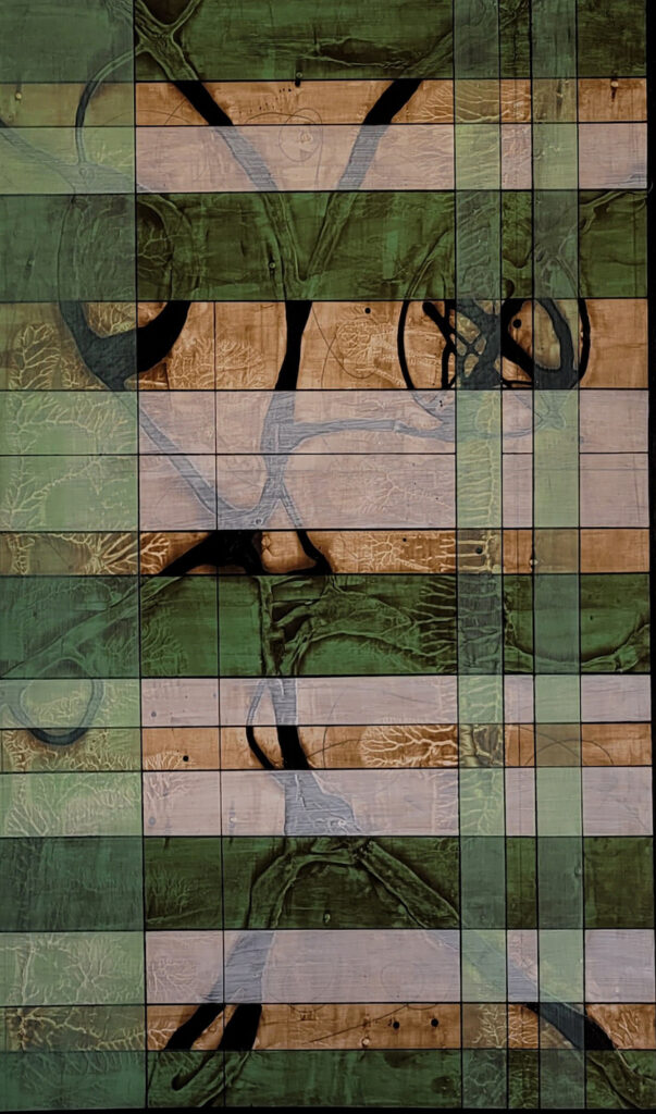 David Marks: Tendrillo