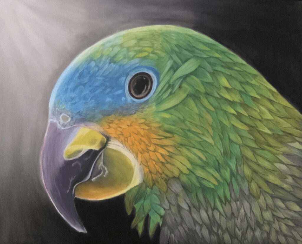 Timothy Blasiman: The Parrot