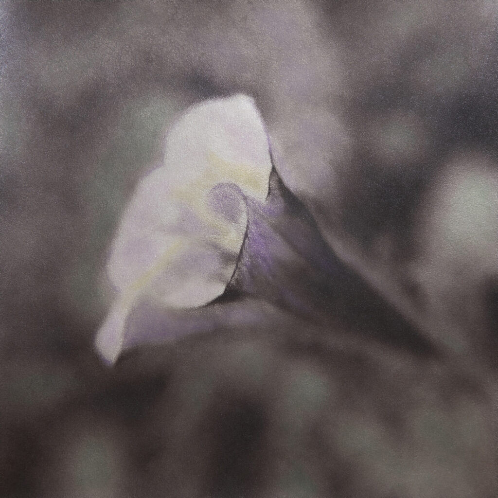 Storm Sermay: Floral #6