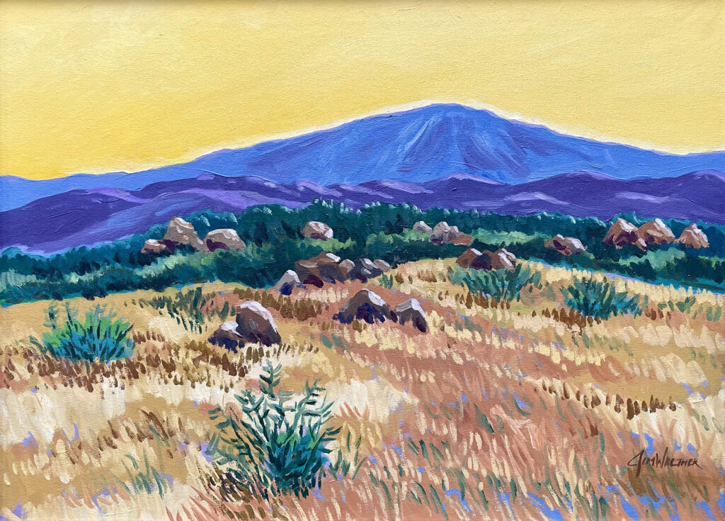 New Mexico Cancer Center, Gallery With A Cause, Jim Walther