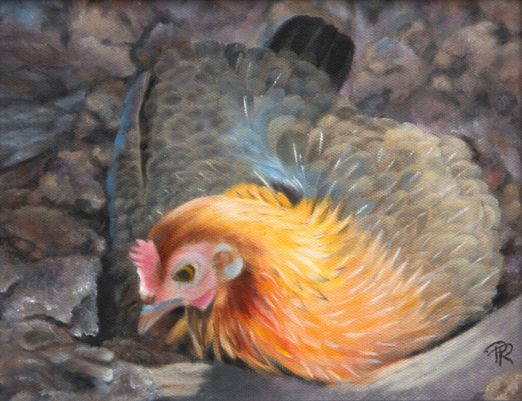 New Mexico Cancer Center, Gallery With A Cause, A Dust Bath (A Chicken Oxymoron)
