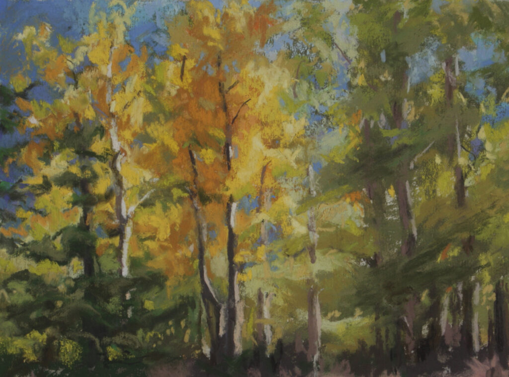 New Mexico Cancer Center, Gallery With A Cause, A Forest Ballet
