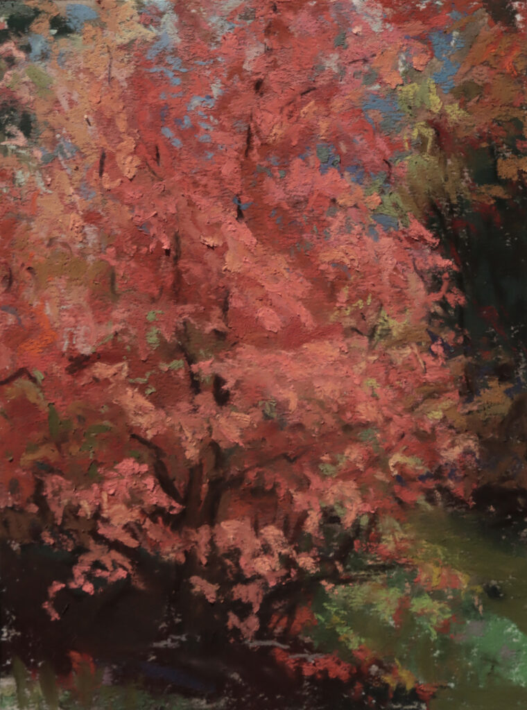 New Mexico Cancer Center, Gallery With A Cause, A Gift of Beauty