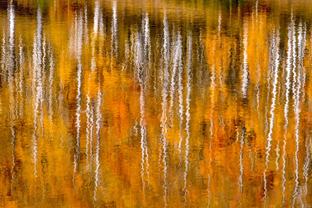 New Mexico Cancer Center, Gallery With A Cause, Autumn Ripples