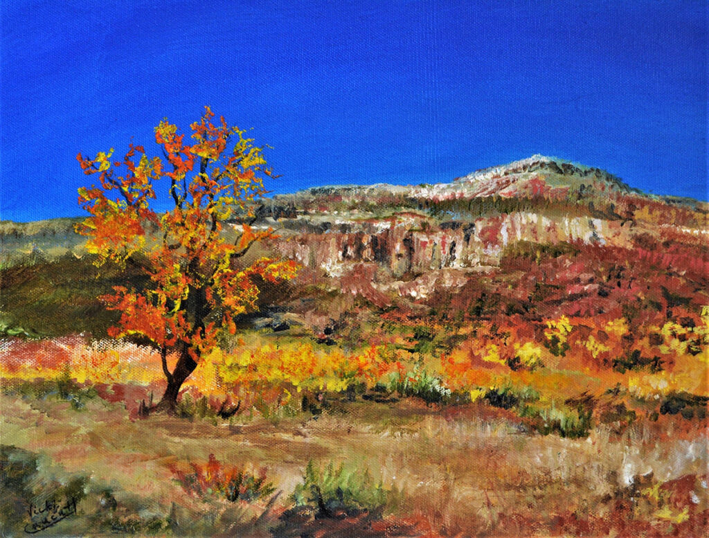 New Mexico Cancer Center, Gallery With A Cause, Beautiful Abiquiu