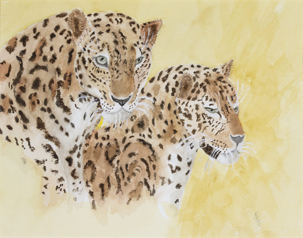 New Mexico Cancer Center, Gallery With A Cause, Double Vision