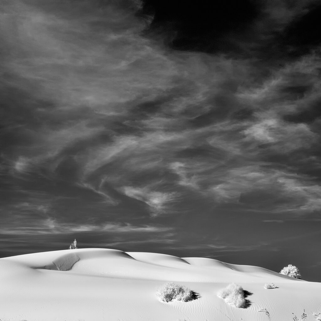 New Mexico Cancer Center, Gallery With A Cause, Dreams &amp; Dunes
