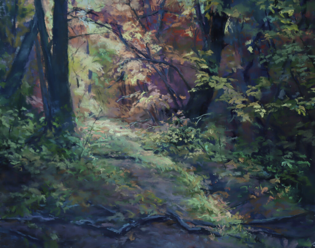 New Mexico Cancer Center, Gallery With A Cause, Forest Light I