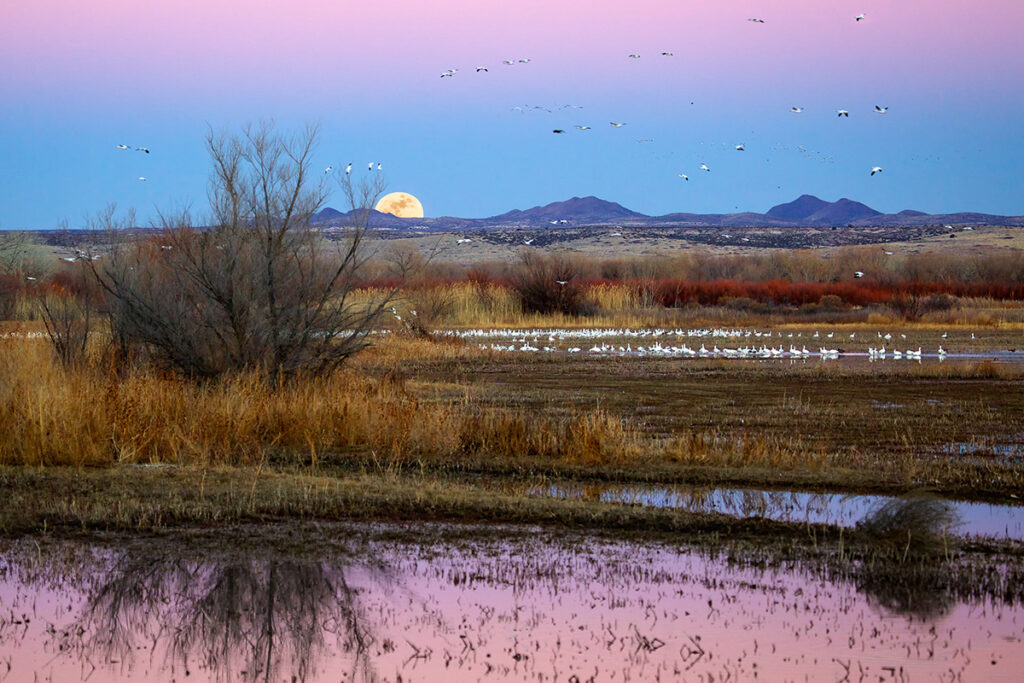 New Mexico Cancer Center, Gallery With A Cause, Full Moon Rising