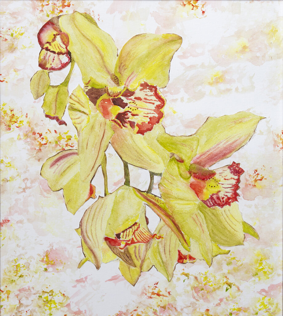 New Mexico Cancer Center, Gallery With A Cause, Glorious Orchids