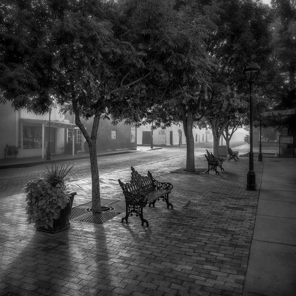 New Mexico Cancer Center, Gallery With A Cause, La Mesilla Morning